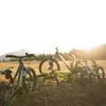 Велосипед дитячий Orbea MX20 Team жовтий M00520I6 8