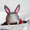 Накладка на шолом COOLCASC Bunny 4