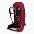 Чоловічий трекінговий рюкзак Osprey Talon 36 л (S-M) космічний червоний 2
