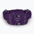 Сумка-бананка жіноча Osprey Tempest 6 л violac purple