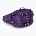 Сумка-бананка жіноча Osprey Tempest 6 л violac purple 2