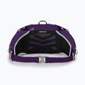 Сумка-бананка жіноча Osprey Tempest 6 л violac purple 2