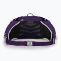 Сумка-бананка жіноча Osprey Tempest 6 л violac purple 3