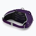 Сумка-бананка жіноча Osprey Tempest 6 л violac purple 4