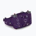 Сумка-бананка жіноча Osprey Tempest 6 л violac purple 4