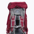 Рюкзак трекінговий жіночий Osprey Ariel 65 l червоний 10002883 5