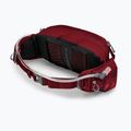Барсетка Osprey Seral 7 l червона 10003208 11