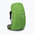 Чоловічий трекінговий рюкзак Osprey Atmos AG 65 л міфічний зелений 3