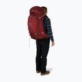 Рюкзак трекінговий жіночий Osprey Aura AG 65 l XS-S berry sorbet red 7