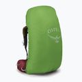 Рюкзак трекінговий жіночий Osprey Aura AG 65 l M-L berry sorbet red 5
