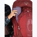 Рюкзак трекінговий жіночий Osprey Aura AG 65 l M-L berry sorbet red 10