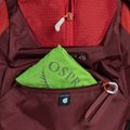 Рюкзак туристичний Osprey Stratos 26 l червоний 10004053 6