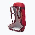 Рюкзак туристичний Osprey Stratos 26 l червоний 10004053 13