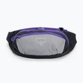 Барсетка Osprey Daylite Waist 2L сіро-фіолетова 10004202 3