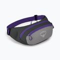 Барсетка Osprey Daylite Waist 2L сіро-фіолетова 10004202 8