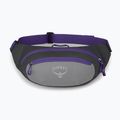 Барсетка Osprey Daylite Waist 2L сіро-фіолетова 10004202 9