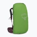 Рюкзак трекінговий жіночий Osprey Kyte 38 elderberry purple 9