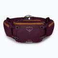 Фіолетовий чохол для велосипеда Osprey Savu 5 aprium