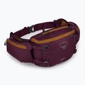 Фіолетовий чохол для велосипеда Osprey Savu 5 aprium 2