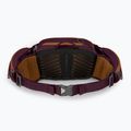 Фіолетовий чохол для велосипеда Osprey Savu 5 aprium 3
