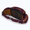 Фіолетовий чохол для велосипеда Osprey Savu 5 aprium 4