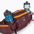 Фіолетовий чохол для велосипеда Osprey Savu 5 aprium 7
