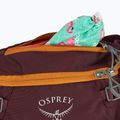 Фіолетовий чохол для велосипеда Osprey Savu 5 aprium 8