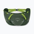 Сумка-бананка Osprey Duro Dyna 2 л seaweed green/limon