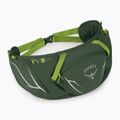 Osprey Duro Dyna 2 л мішечок для нирок з морських водоростей зелений/лимон 2