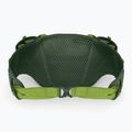 Сумка-бананка Osprey Duro Dyna 2 л seaweed green/limon 3