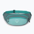 Підсумок для нирок Osprey Daylite Waist Waist jetstream blue/cascade blue