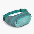 Підсумок для нирок Osprey Daylite Waist Waist jetstream blue/cascade blue 2