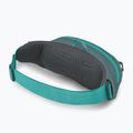 Підсумок для нирок Osprey Daylite Waist Waist jetstream blue/cascade blue 3