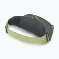 Сумка для нирок Osprey Daylite Waist з ротанговим принтом / rocky brook 3