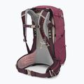 Рюкзак туристичний жіночий Osprey Sirrus 24 л elderberry purple / chiru tan 2