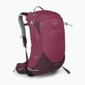 Рюкзак туристичний жіночий Osprey Sirrus 24 л elderberry purple / chiru tan 3