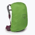 Рюкзак туристичний жіночий Osprey Sirrus 24 л elderberry purple / chiru tan 4