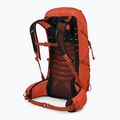 Рюкзак трекінговий чоловічий Osprey Talon Pro 30 л mars orange 2
