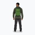 Рюкзак туристичний Osprey Daylite Plus 20 л green belet / green canopy 10
