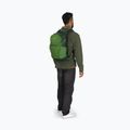 Рюкзак туристичний Osprey Daylite Plus 20 л green belet / green canopy 11