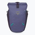 Рюкзак міський Osprey Transporter Roll Top 20 л euphoria purple