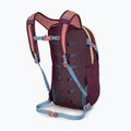 Рюкзак міський Osprey Daylite 13 l moody burgundy 4