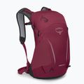 Рюкзак туристичний Osprey Hikelite 18 л chameleon / black 2