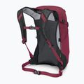 Рюкзак туристичний Osprey Hikelite 18 л chameleon / black 3
