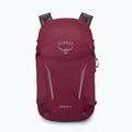 Рюкзак туристичний Osprey Hikelite 26 л chameleon/ black