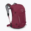 Рюкзак туристичний Osprey Hikelite 26 л chameleon/ black 2