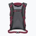 Рюкзак туристичний Osprey Hikelite 26 л chameleon/ black 3