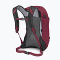 Рюкзак туристичний Osprey Hikelite 26 л chameleon/ black 4