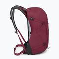 Рюкзак туристичний Osprey Hikelite 26 л chameleon/ black 5