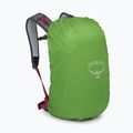 Рюкзак туристичний Osprey Hikelite 26 л chameleon/ black 6